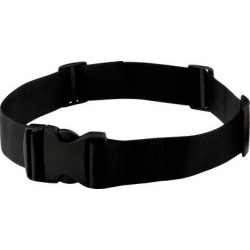 Ceinture standard