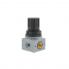 MINI REGULATEUR 1/4 0-8 BAR