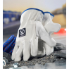 Gants en cuir Ardon Indy protection mécanique (12 paires)